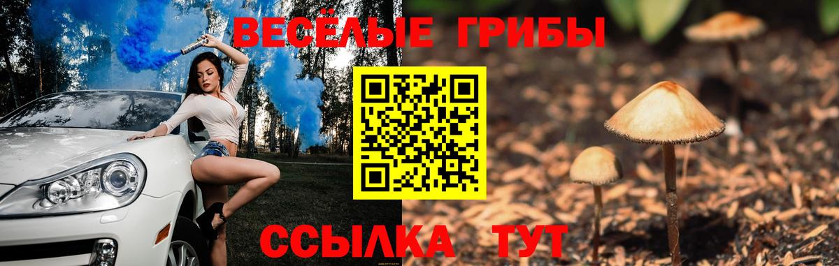 Галлюциногенные грибы Cubensis  Галлюциногенные грибы GOLDEN TEACHER  Вход с VPN  Северск 